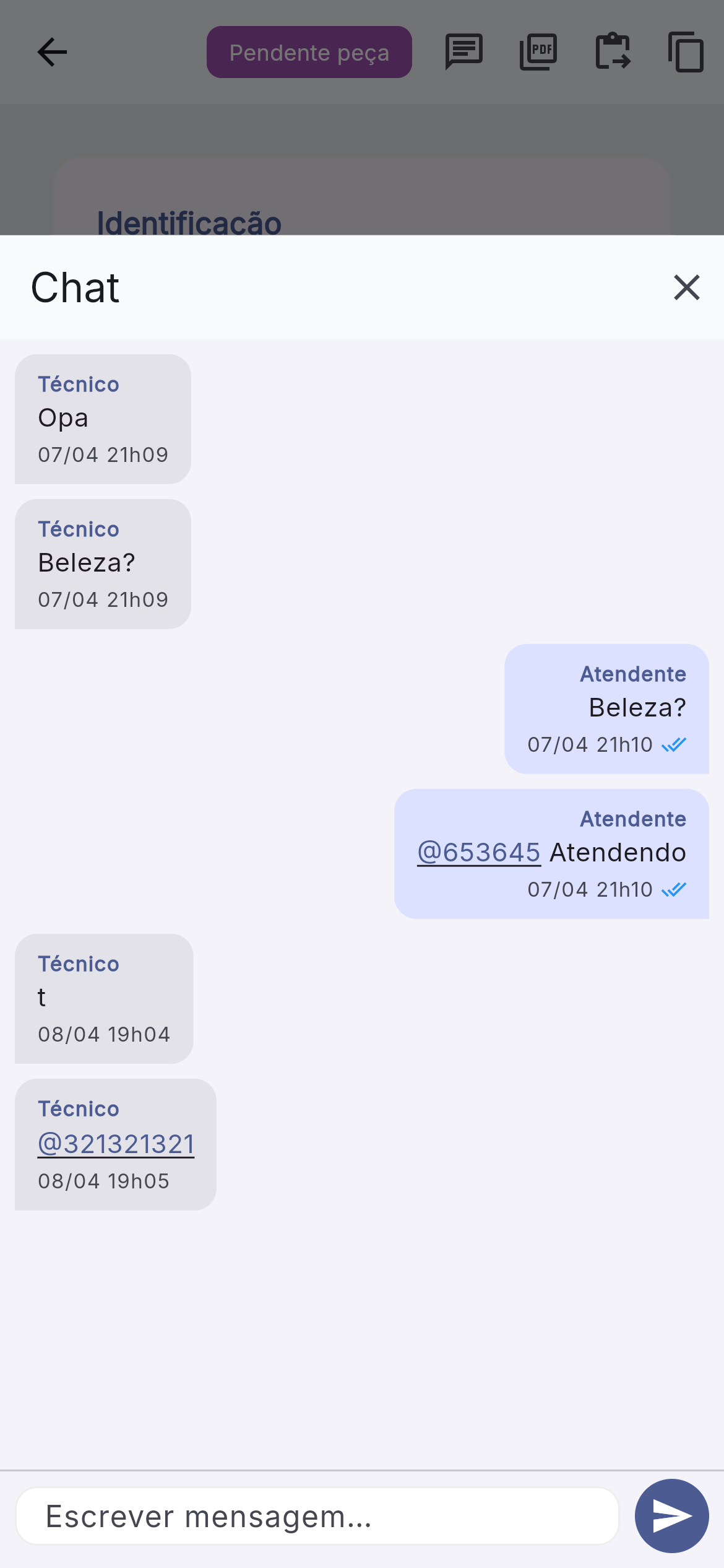 Detalhes do chamado com chat