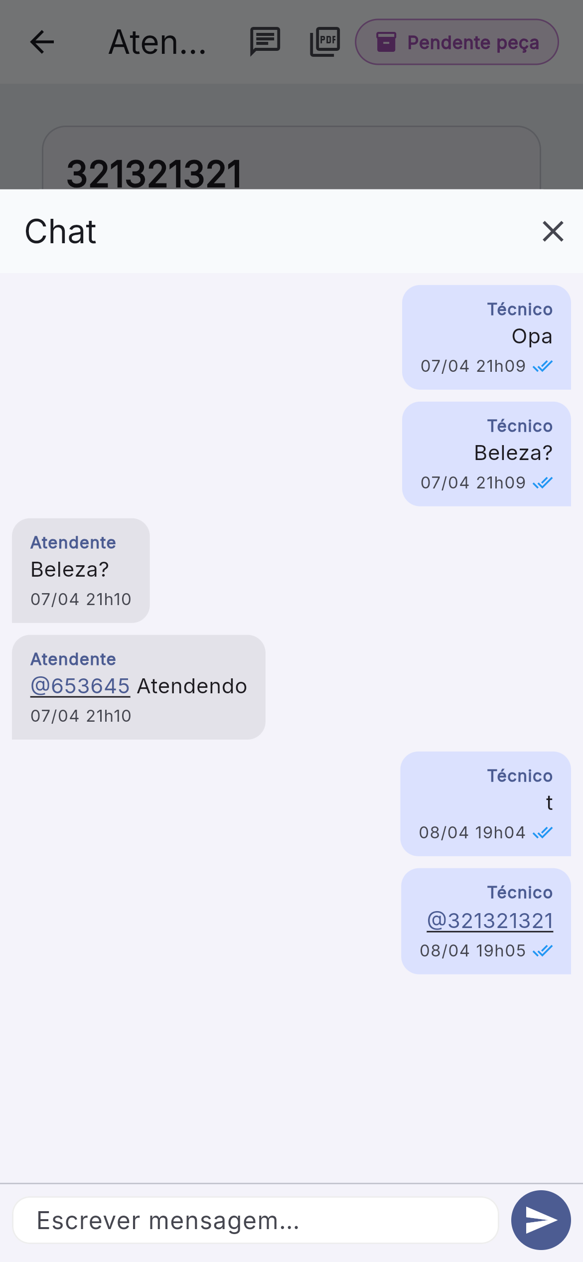 Detalhes do chamado com chat